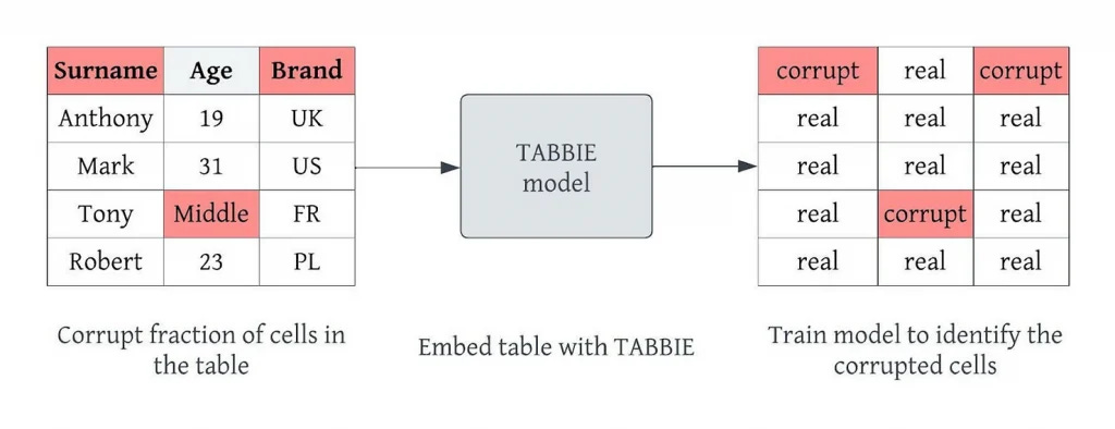 The idea behind the TABBIE model is to use semi-supervised training with large amounts of tabular data to get powerful representations of cells, columns, and rows.