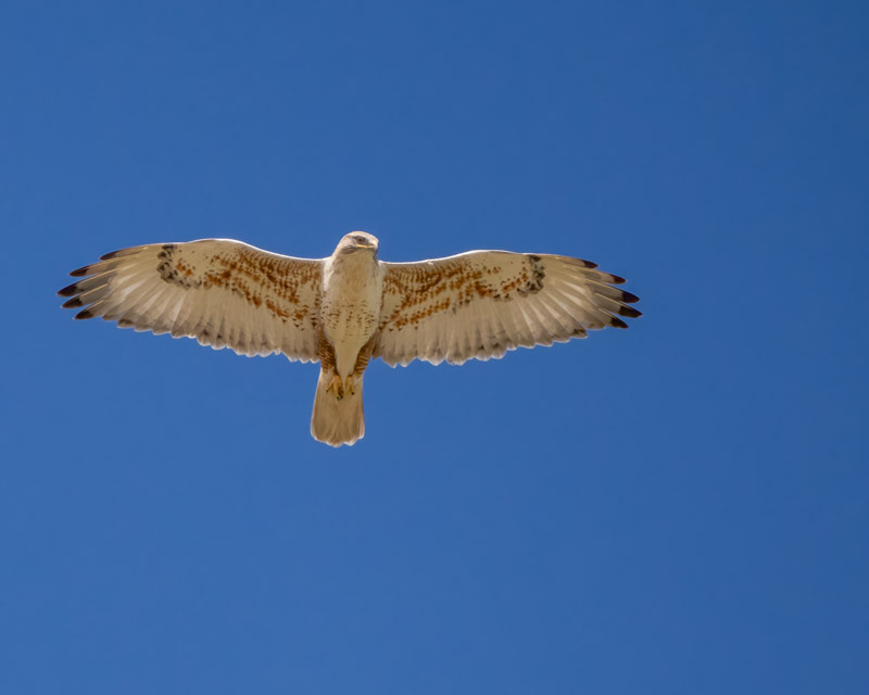 20240218-Yuma-103-Edit.jpg