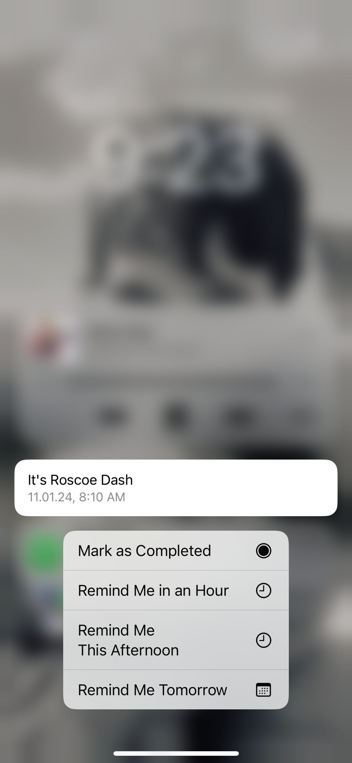 screenshot of an iphone with a reminder that says "it's Roscoe Dash"