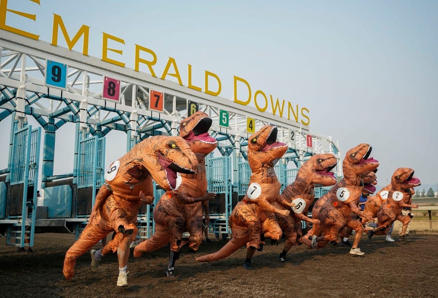 Nine people wearing inflatable dinosaur costumes start a footrace at a horse racetrack.