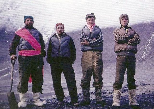 Bull and company in the Dry Valleys. Bull and company in the Dry Valleys.