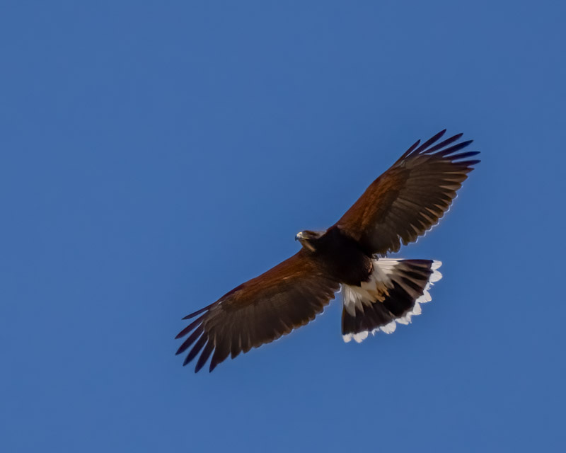20240510-misc-32-Edit.jpg