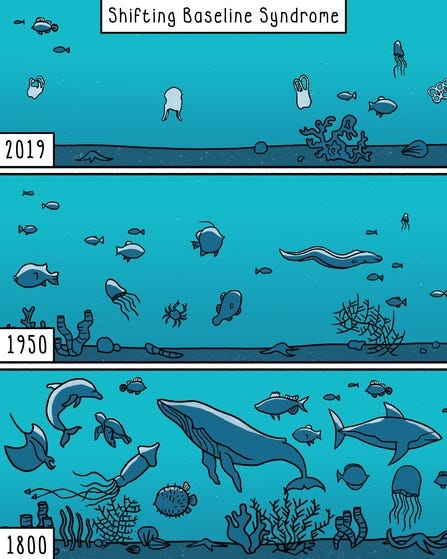 Shifting Baseline Syndrome showing different biodiversity levels in an ocean over time