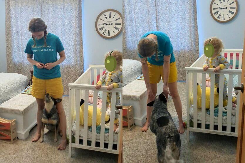 Two photos side by side of my niece standing in her crib, watching my cattle dog perform some easy tricks