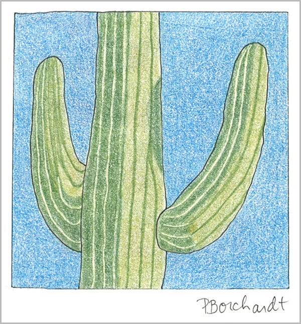 Saguaro (colored pencil)