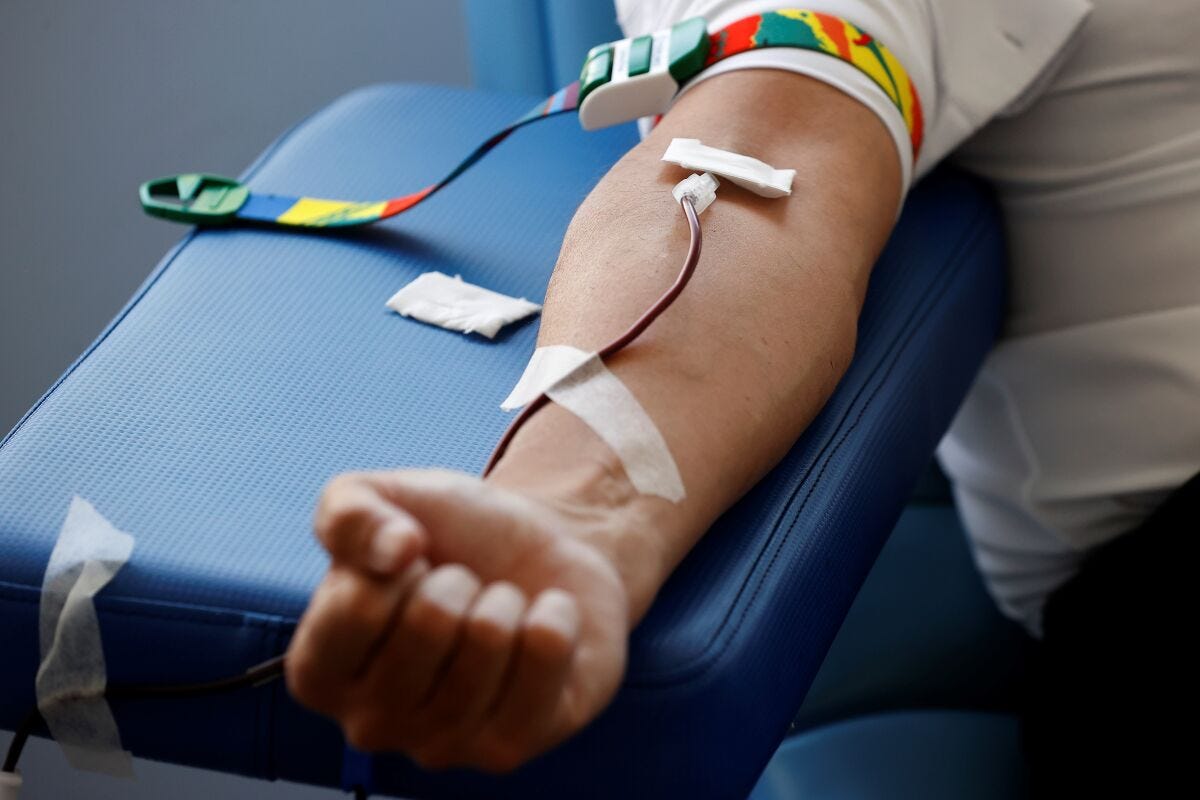 Regulador de EEUU propone permitir la donación de sangre de gays y  bisexuales - San Diego Union-Tribune en Español