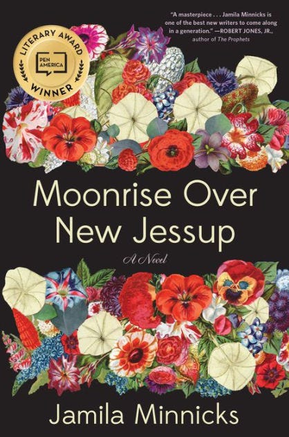 Moonrise Over New Jessup: A novel