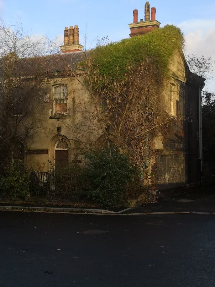 An aged house with plants grown over the roof