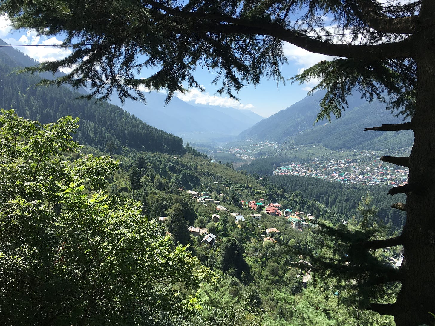 The view of a Himalayan valley, with pastel-colored homes and evergreen trees seen in the distance under a blue sky. 