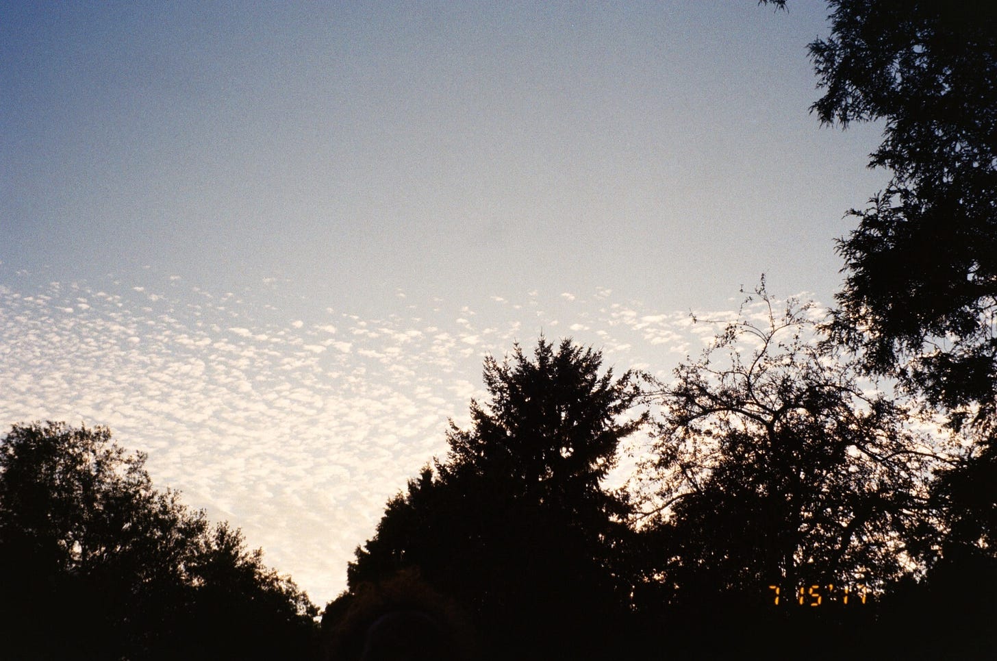 Seattle Washington on film photography by travel writer Courtney Jill Bishop.