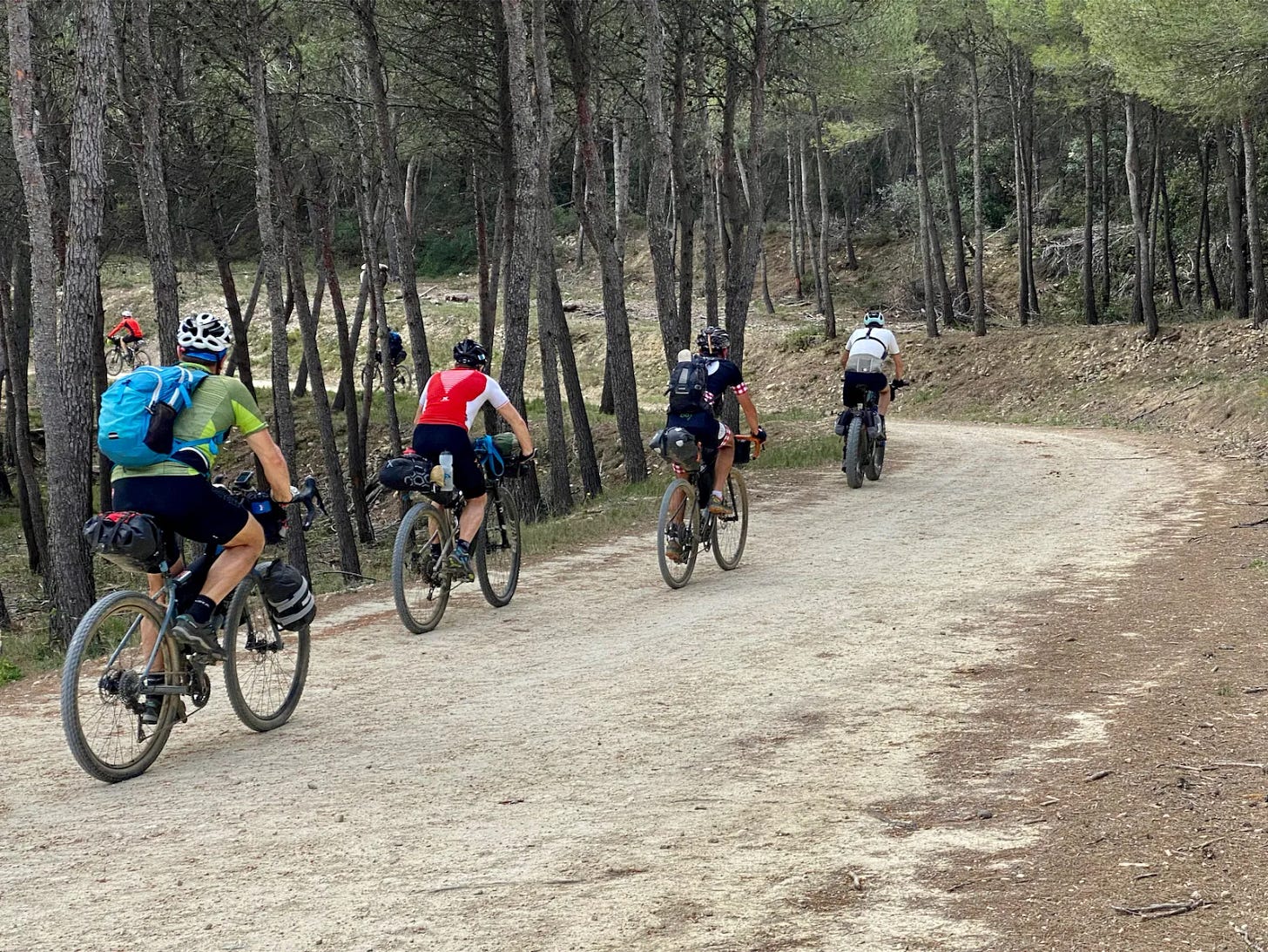 La pinède La pinède