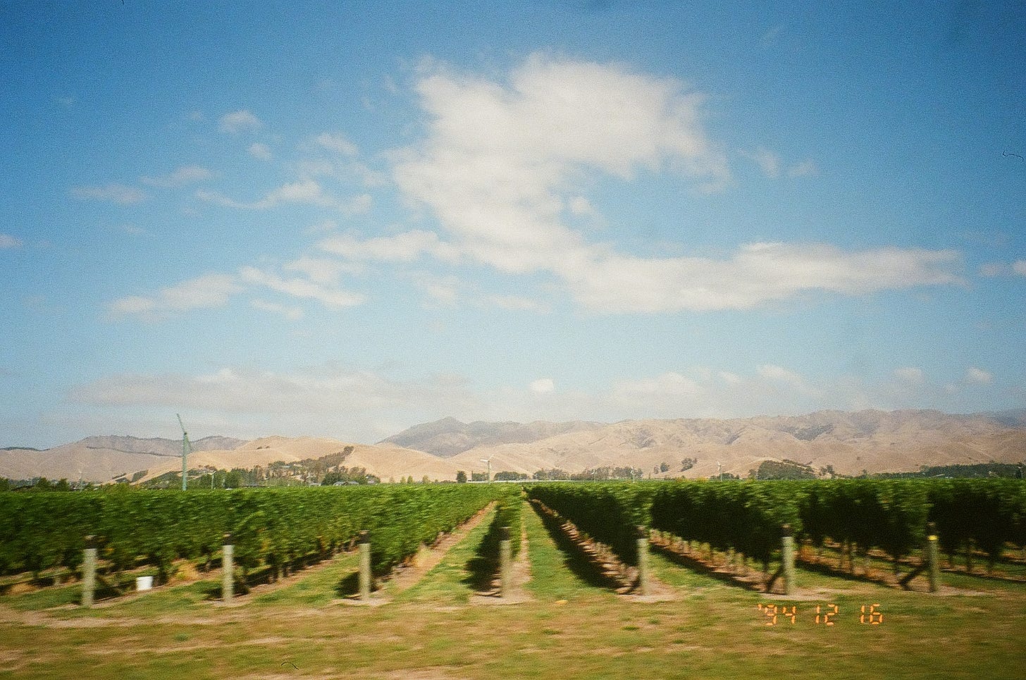 Courtney Jill Bishop New Zealand wine country budget travel article tips food writing.