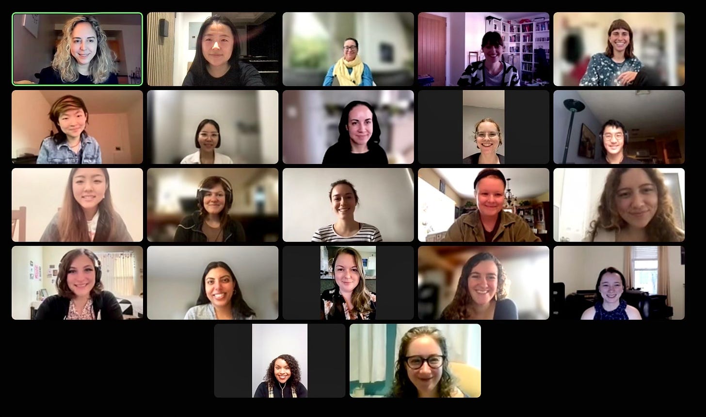Screenshot of Zoom meeting.  The 20 bespoken fellows and 2 mentors are visible on screen.