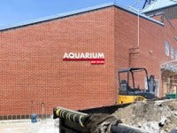 Save The Bay’s Hamilton Family Aquarium is slated to open in late Fall 2023