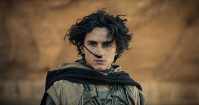 Timothée Chalamet in Dune: Part Two | Image via Warner Bros. Pictures