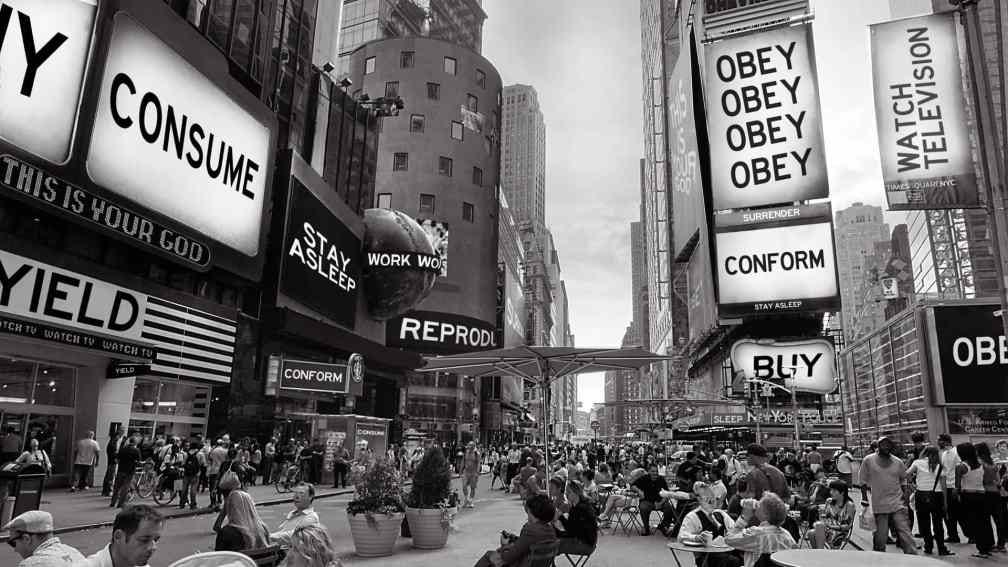 they live
