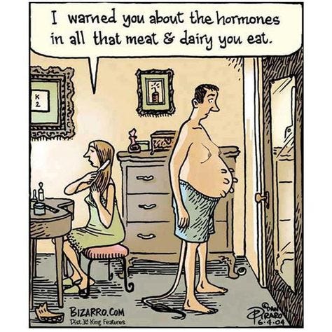 meat and dairy hormones | Funny cartoons, Bizarro comic, Hormones