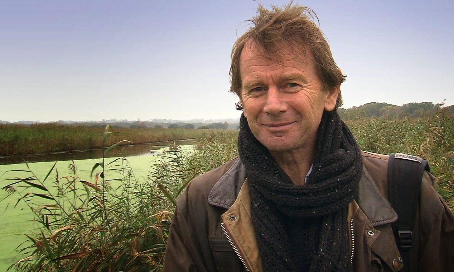 Picture of the historian and broadcaster Michael Wood.
