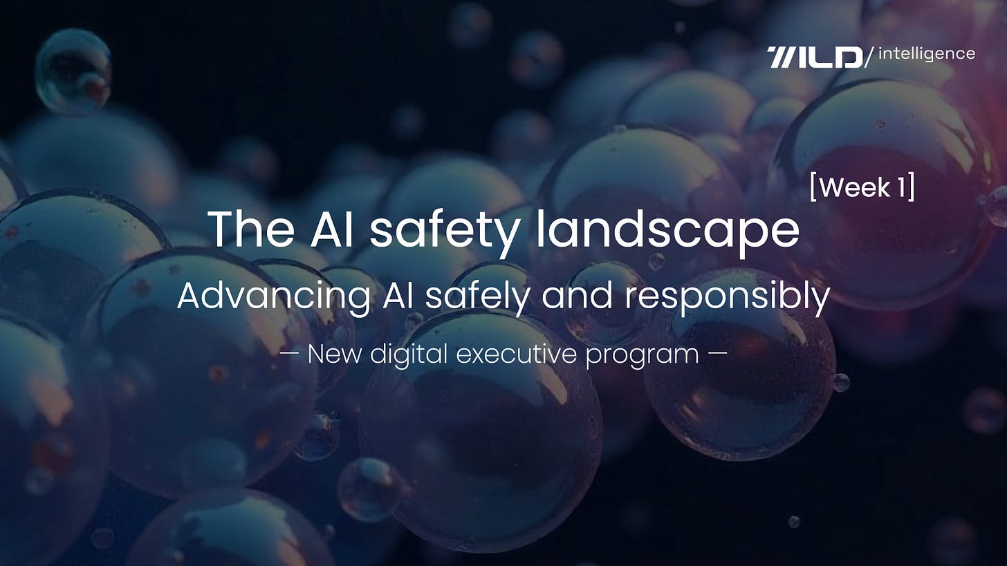 🚀 The AI safety landscape [Week 1]