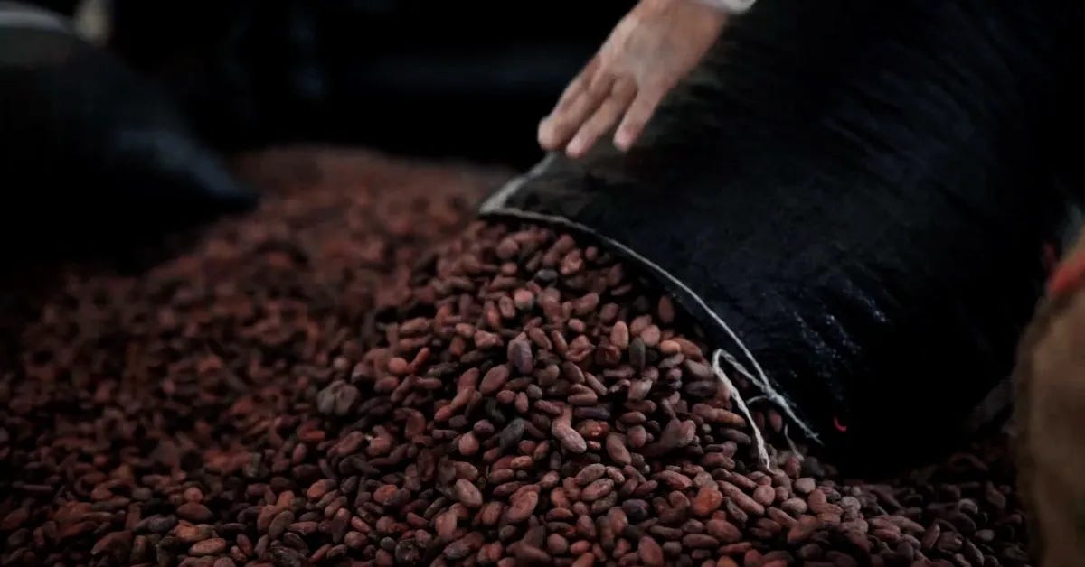 Productores de Ucayali exportan 25 toneladas de cacao orgánico a Países Bajos