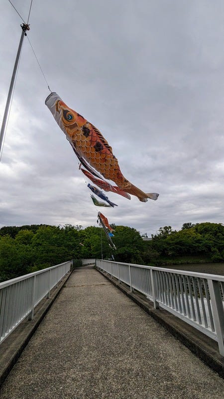 Several kites or three dimensional banners in the shape of koi fish, flying in the wind above a pedestrian bridge