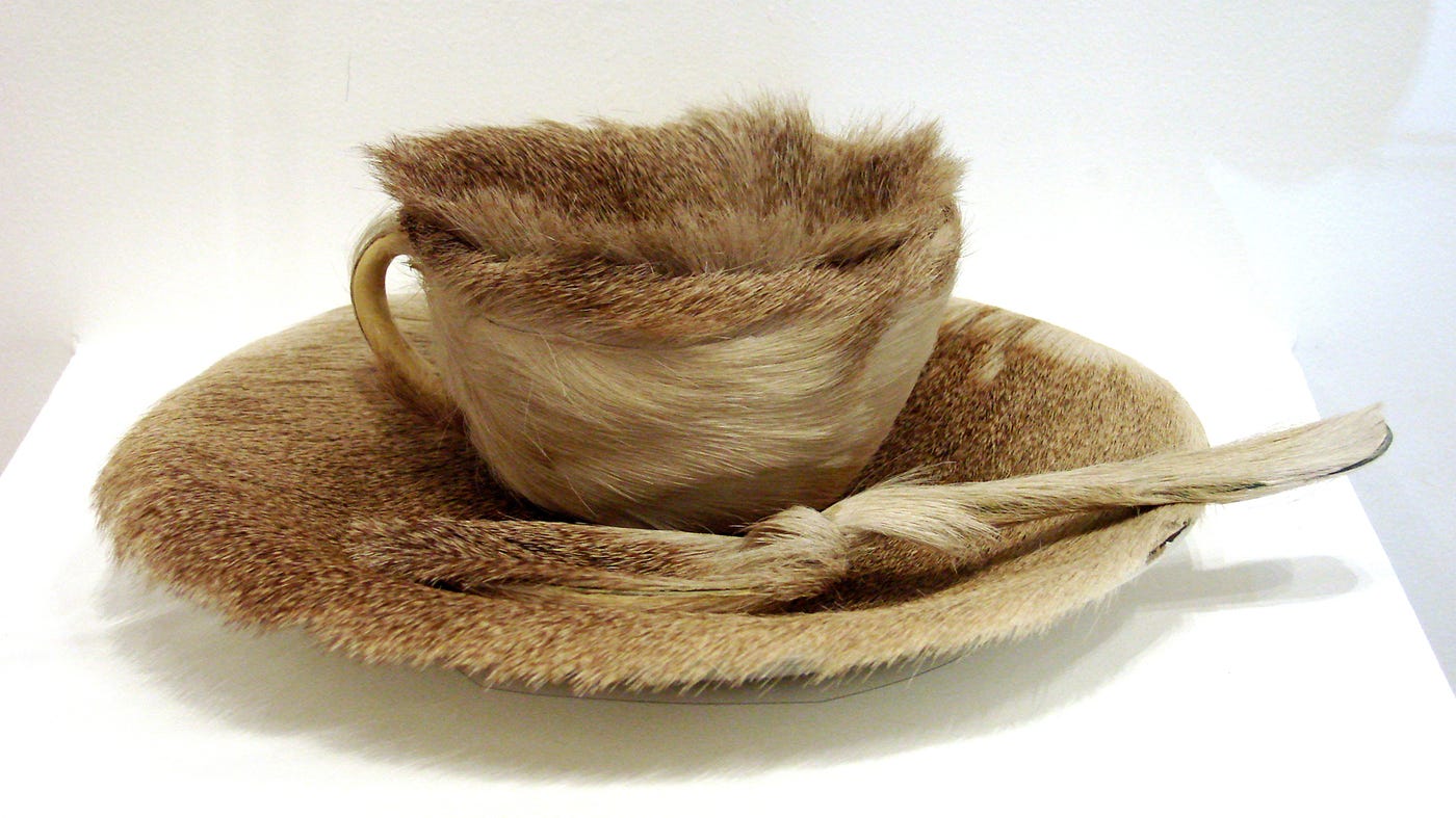 Luncheon In Fur': The Surrealist Teacup That Stirred The Art World : The  Salt : NPR