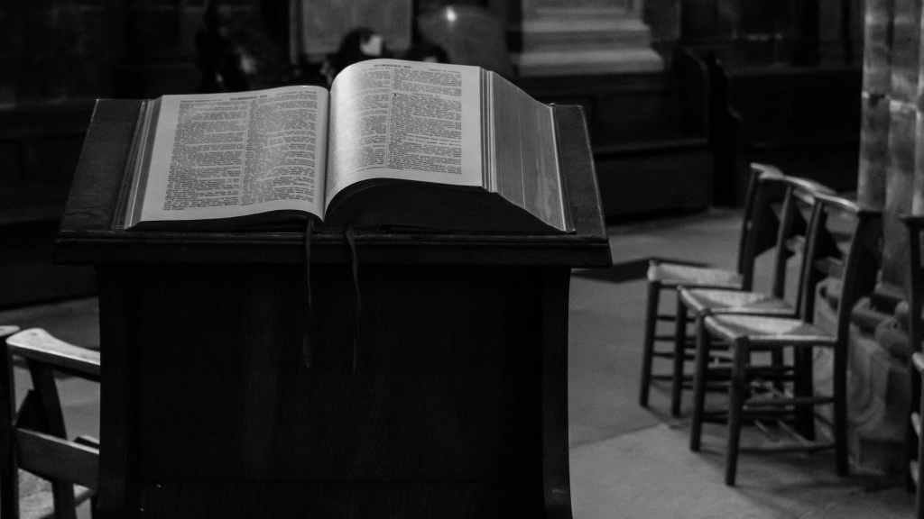 The current image has no alternative text. The file name is: pexels-photo-15128476.jpeg