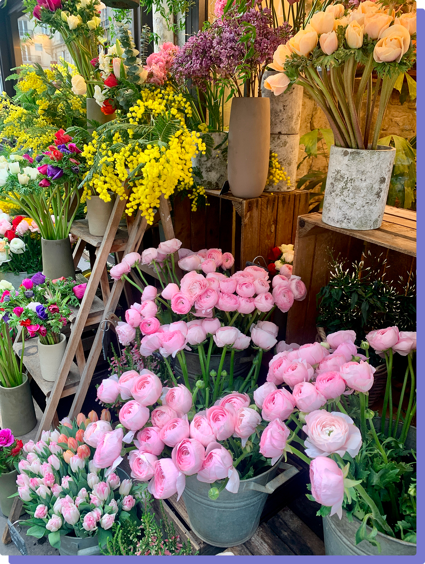 Photo of my neighborhood flower shop