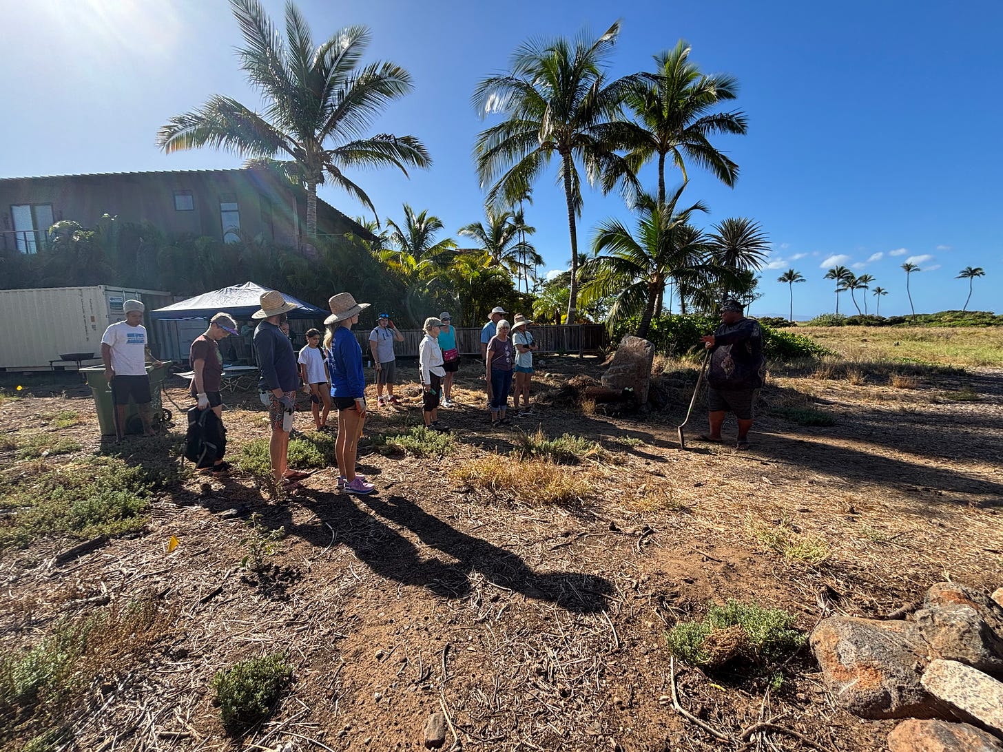 A bright sunny day with palm trees and a building in the background. A dozen volunteers stand on brown ground cover listening to the guy with a shovel.