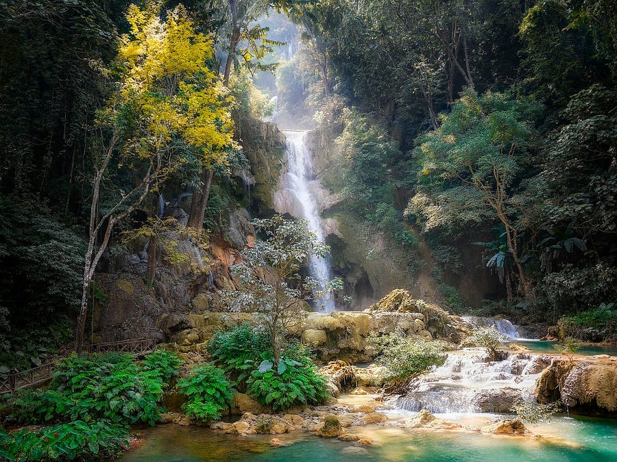 Waterfall in the forest.