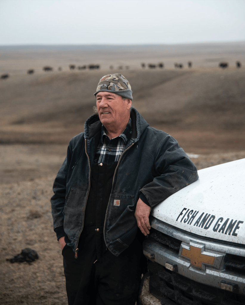 Robbie Magnan, director of Fort Peck’s Fish and Game Department, looks out at the tribe’s cultural herd from his parked truck on Monday, Feb. 5, 2024.
