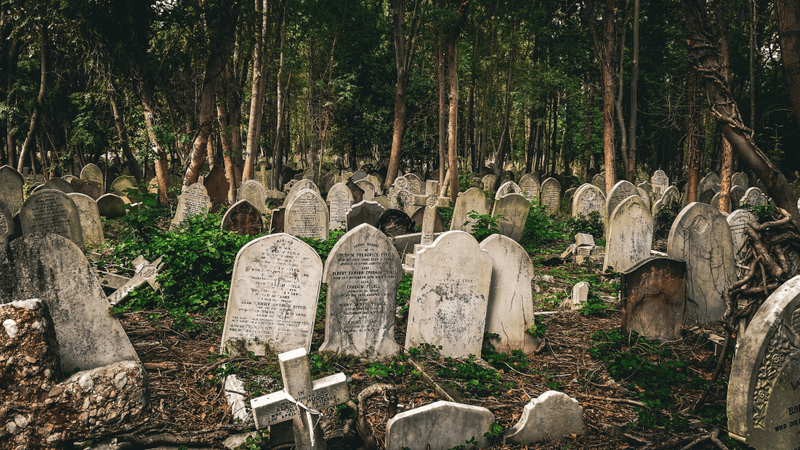 Graveyard Vs Cemetery: Is There A Difference? | IFLScience