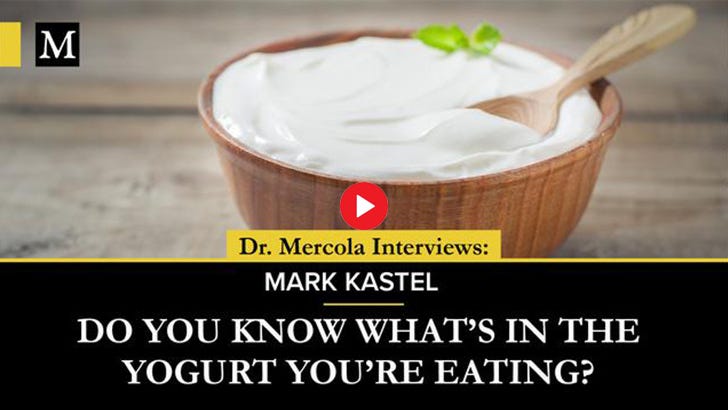 yogurt mark kastel