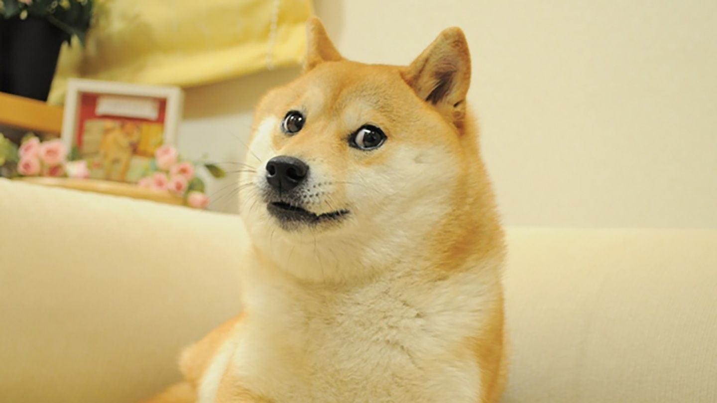 RIP Kabosu: Dog That Inspired Dogecoin (DOGE), Shiba Inu (SHIB) Has Died