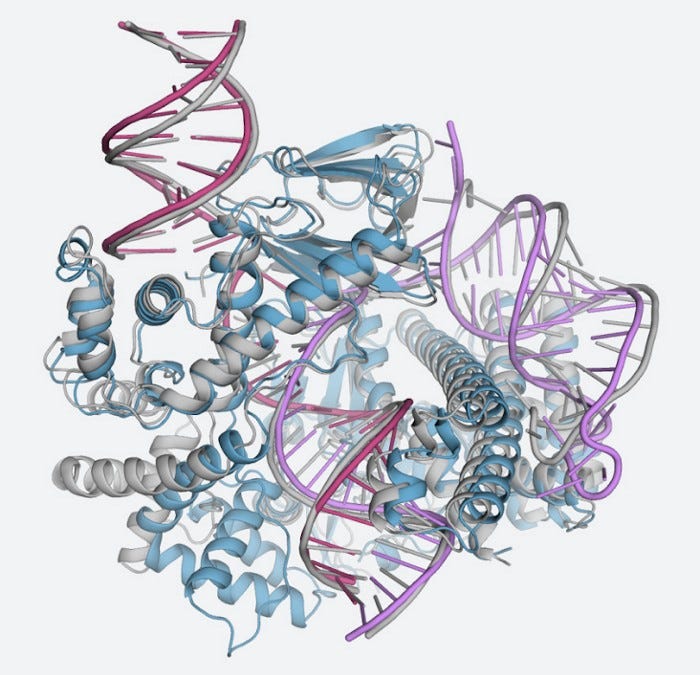 AlphaFold upgrade will model a slew of new biomolecules