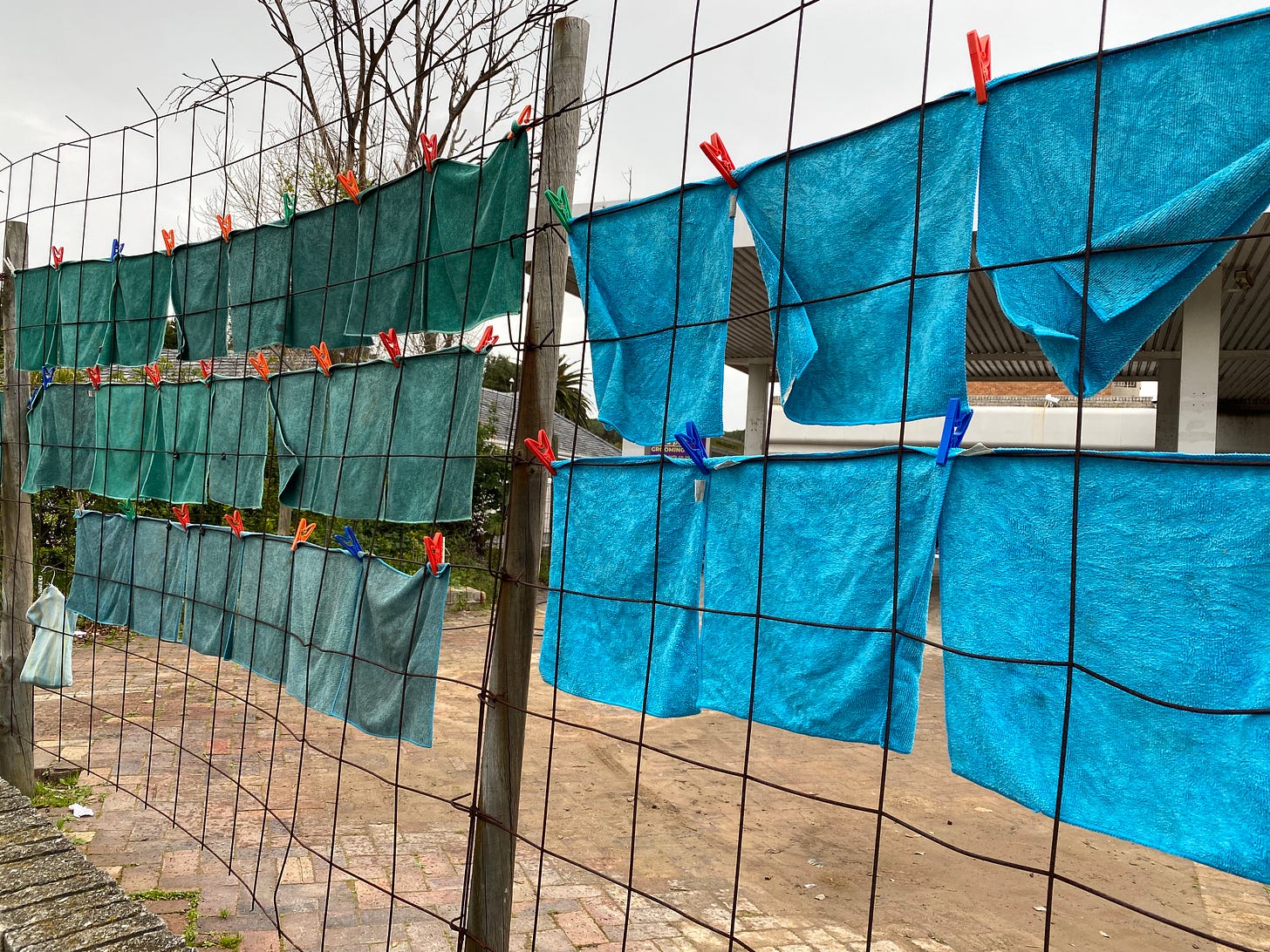 green cloths pegged against a wire fence and turquoise cloths pegged to the right of the green ones