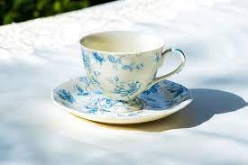 Blue Rose Toile Fine Porcelain Tea Cup and Saucer Set Grace - Etsy Canada