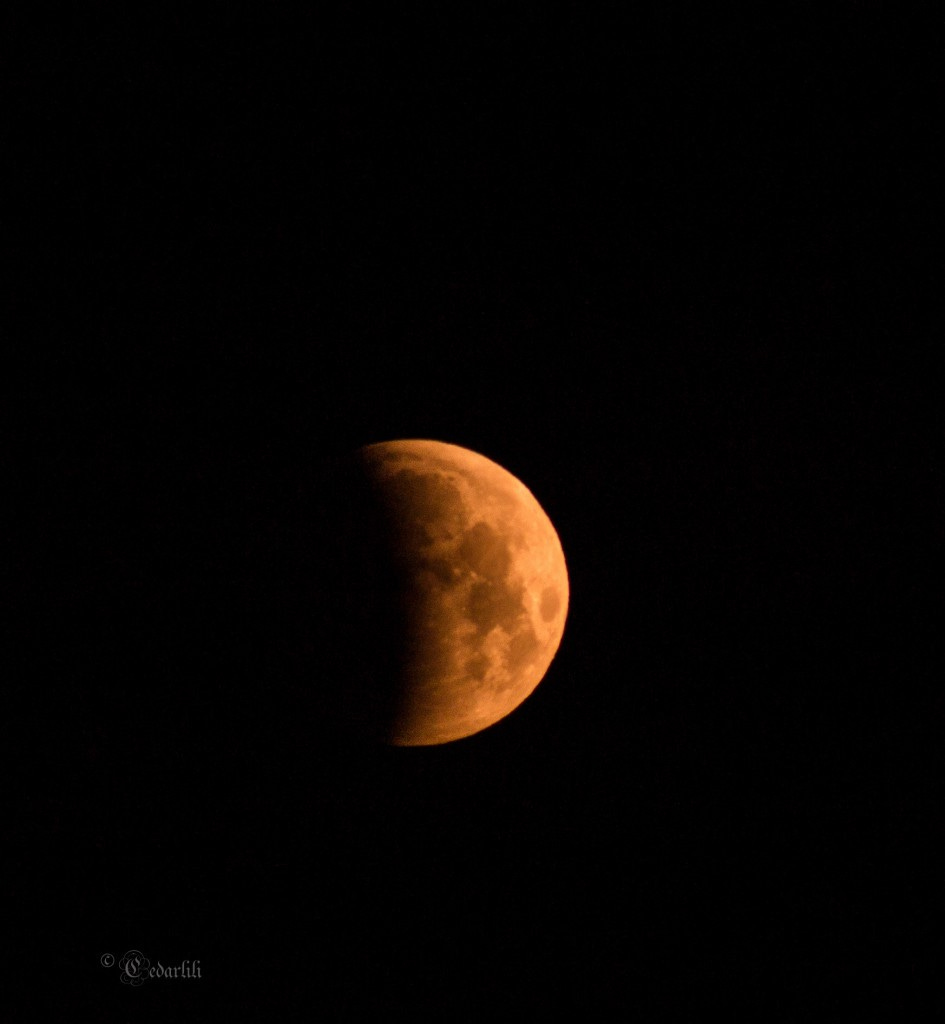 Lunar Eclipse-4