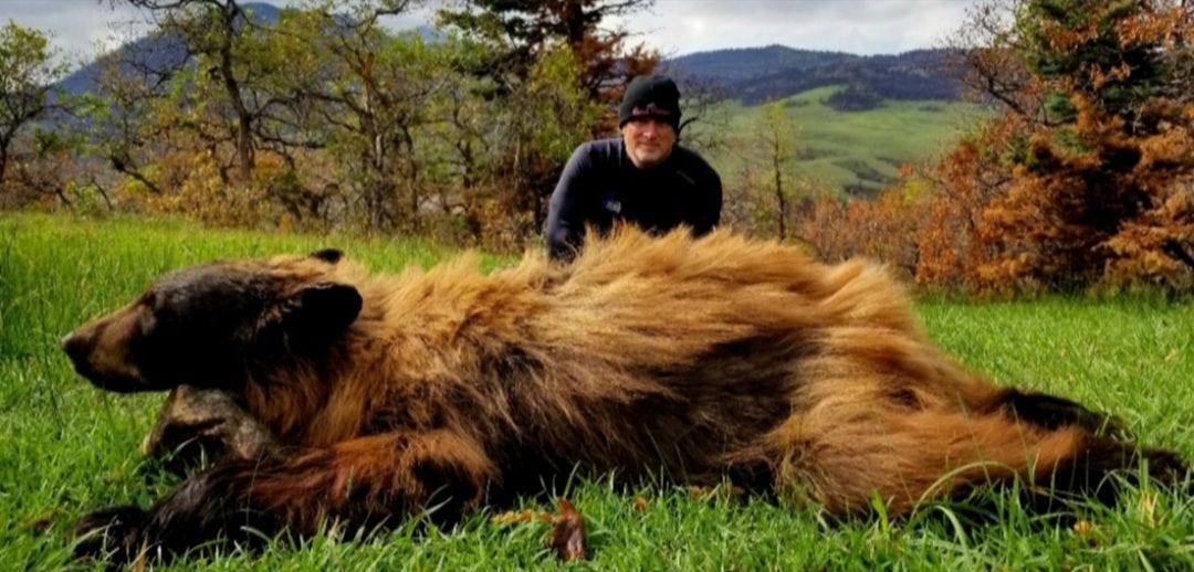 May be an image of 1 person and musk ox