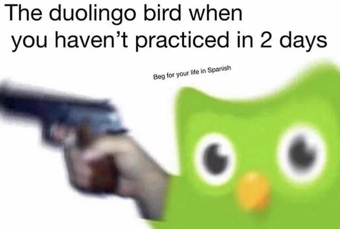 Evil Duolingo Owl | Know Your Meme