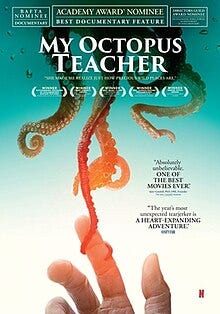 My Octopus Teacher - Wikipedia