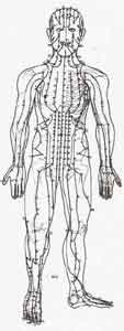 Acupuncture: Chinese Health Practice. Body Points, Meridians, Needles ...