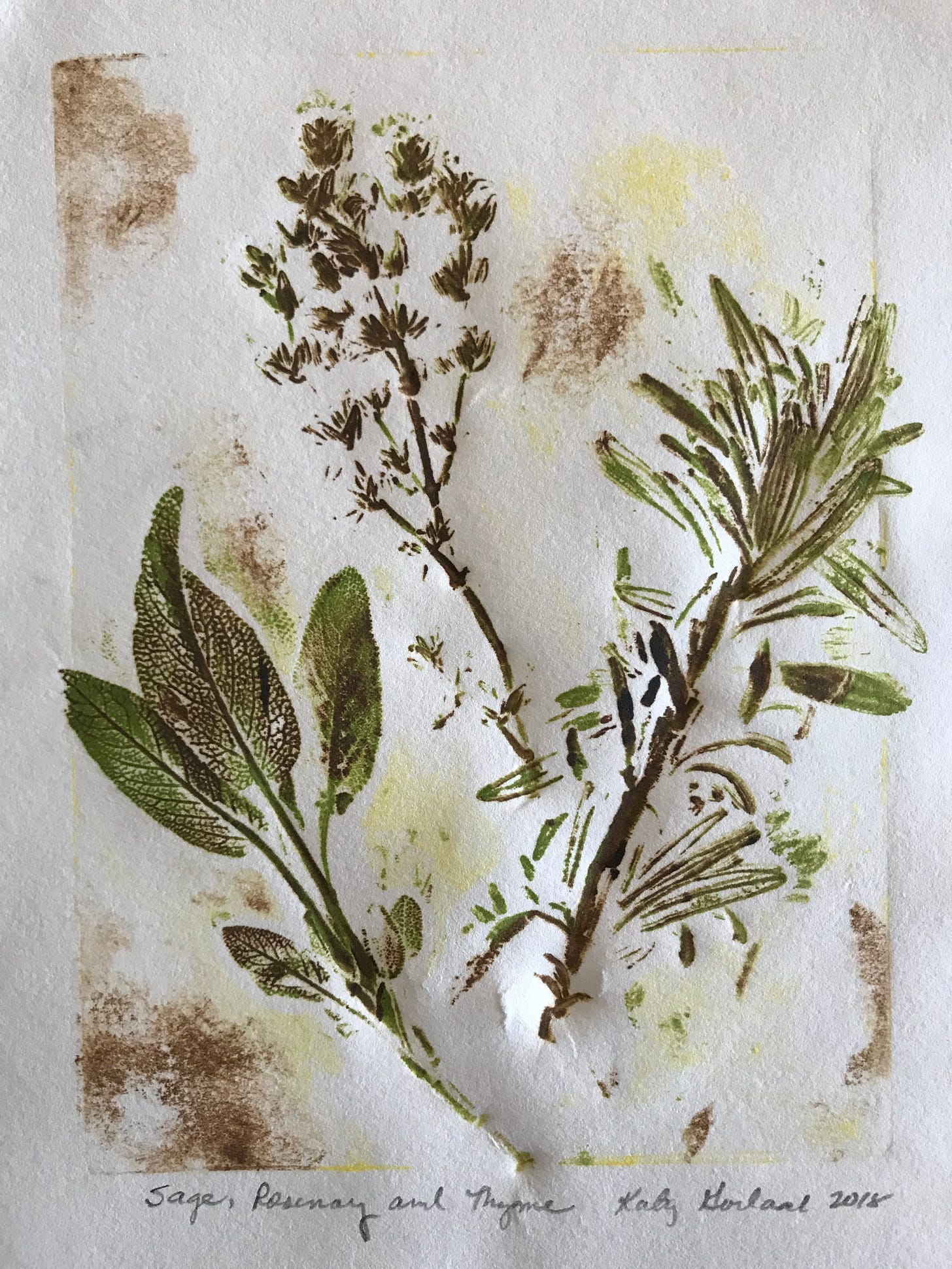 Print using botanical materials and ink