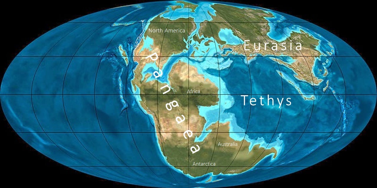 Tethys Ocean: a vanished realm now lying in the mountains. Tethys Ocean: a vanished realm now lying in the mountains.