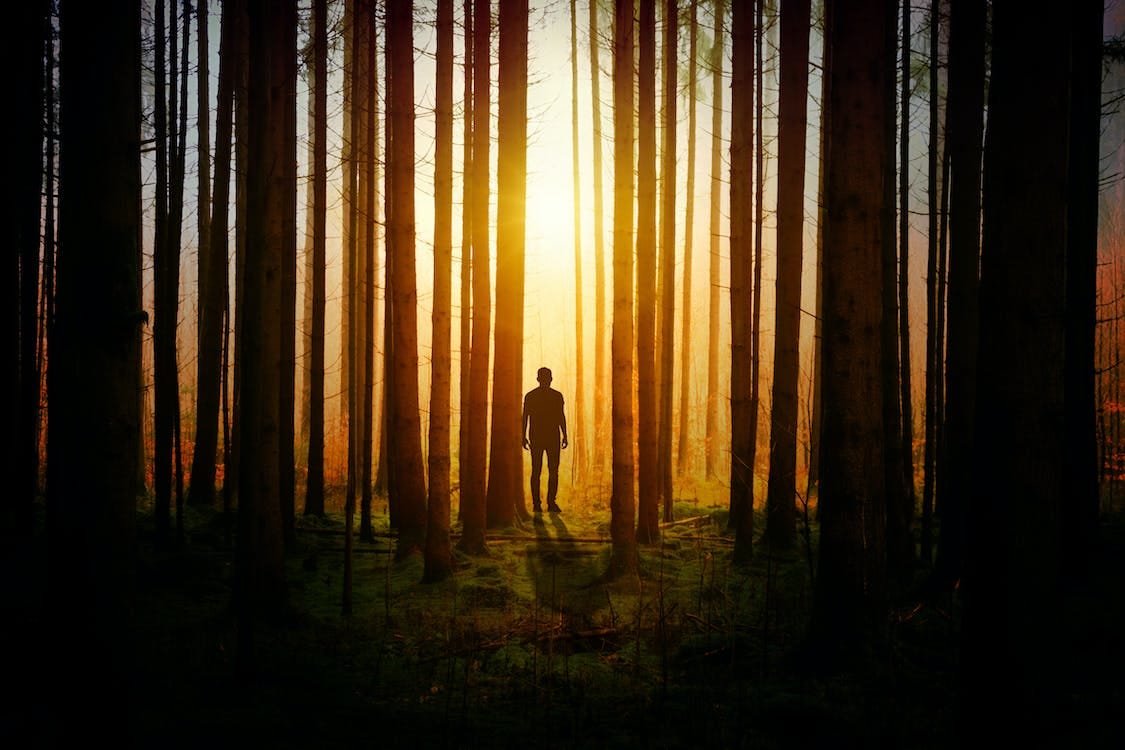 Free Silhouette of a Man during Sunset Stock Photo Free Silhouette of a Man during Sunset Stock Photo