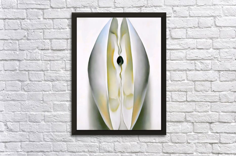Georgia OKeeffe - Slightly Open Clam Shell 1926 par William Store