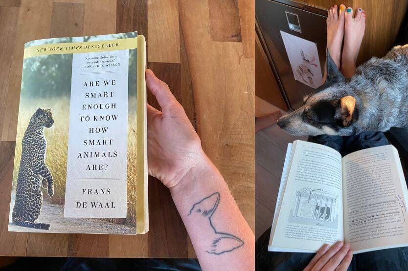 Two photos are side by side in the frame. In the first, I hold a paperback copy of Are We Smart Enough to Know How Smart Animals Are by Frans de Waal against a wooden counter. In the second, the book is open on my lap while Scout rests her head on my legs.