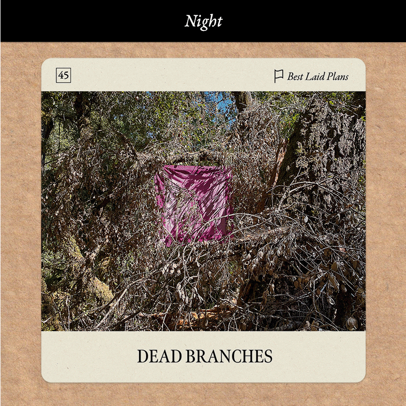 Flag Oracle card Dead Branches