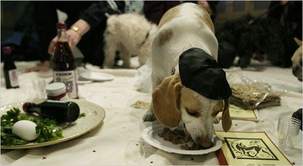 Seder Fare for Pets That Keep Kosher - The New York Times