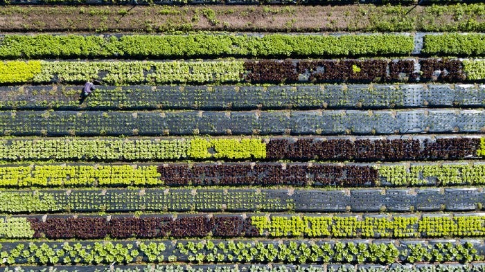 Food processing, Nutritional benefits, Food safety, Preservation of nutrients, Bioavailability of nutrients, Foodborne illness, Bacterial and fungal growth, Spoilage, Shelf life, Transportation and storage, Remote areas, Environmental benefits, Food waste, Energy consumption, Carbon footprint, Human health, Quality of life, Food system, Research and technology, Food preservation